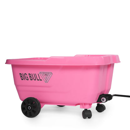 Toy House EV bike