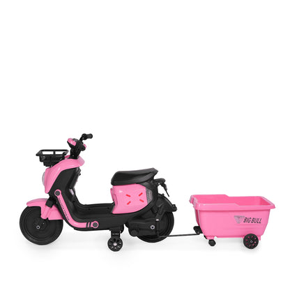 Toy House EV bike