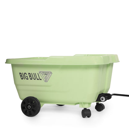 Toy House EV bike