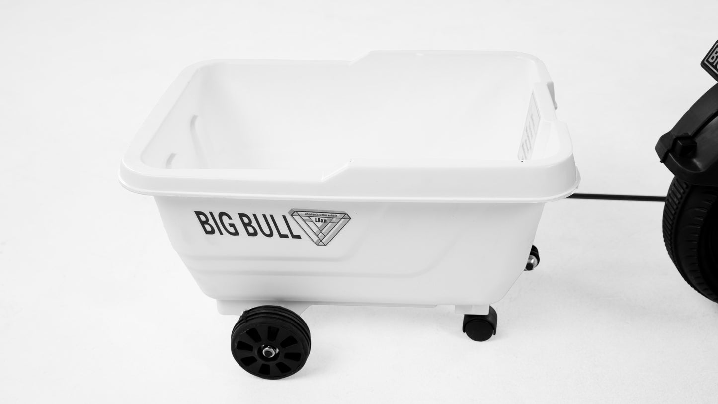 Toy House EV bike